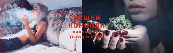 мет Лагань