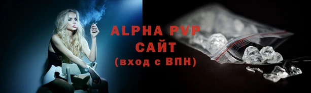 a pvp Белокуриха