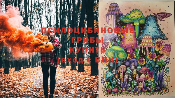 мет Лагань