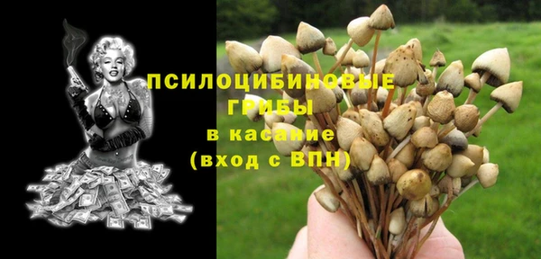 мет Лагань